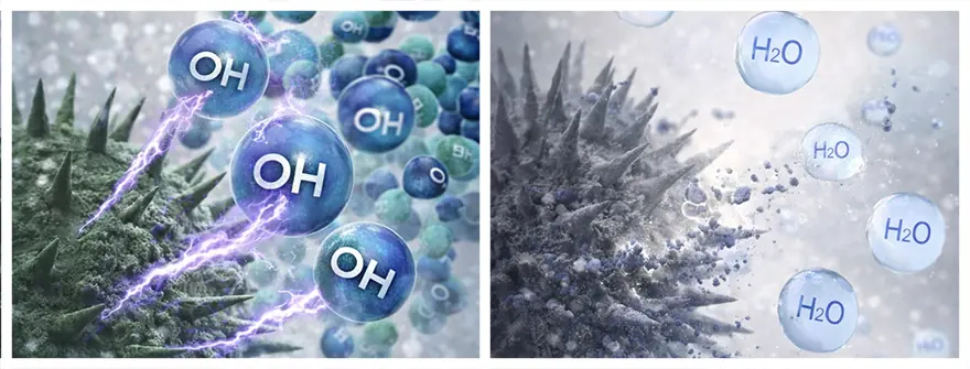 OH自由基會讓黴菌、病毒的蛋白質變質。抑制黴菌和病毒。
