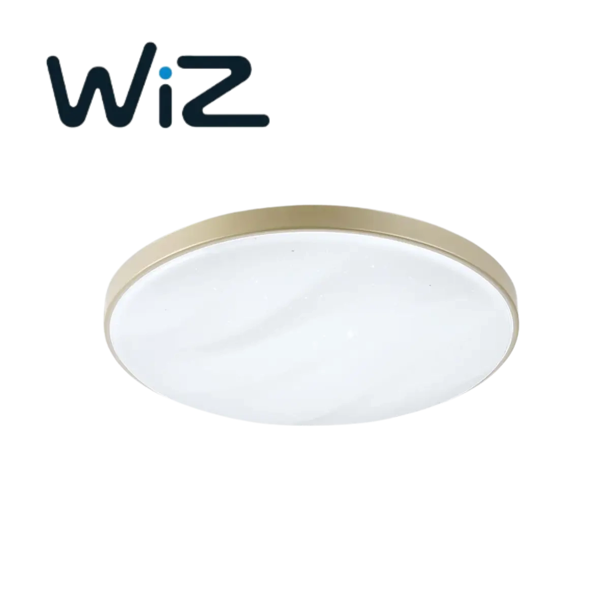 Philips 飛利浦 智慧LED吸頂燈